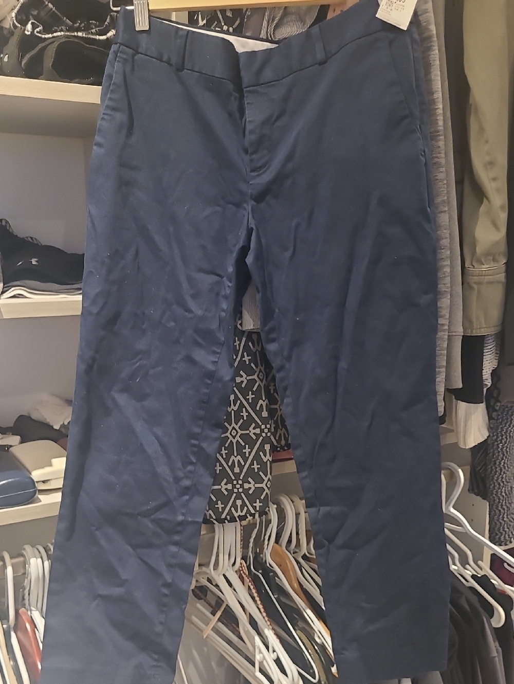 Banana Republic Dark Navy Straight-Leg Chinos